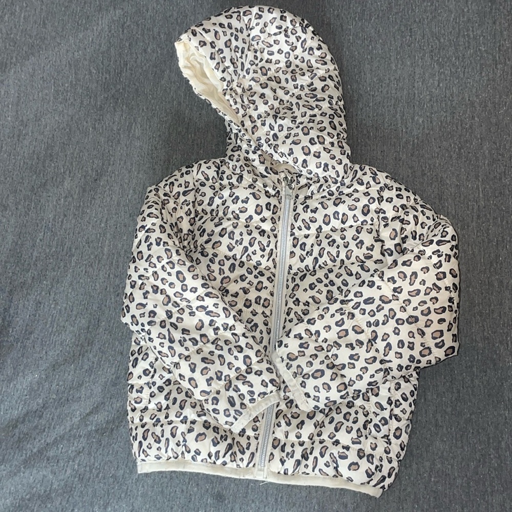 Cheetah puffer